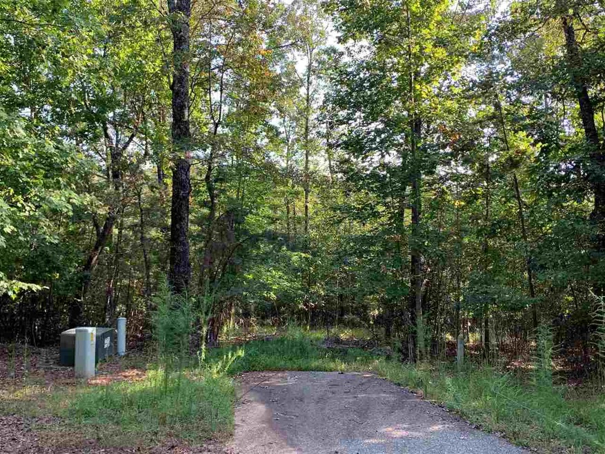 0 Stuart Mtn Hideaway unit 3.23AC 9067132, Mineral Bluff, GA 30559 - photo 1