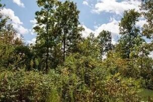 000 County Road 412 Lot 52  