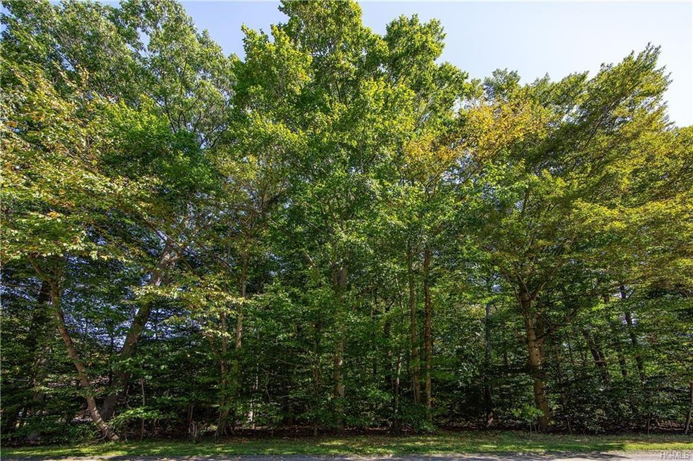 2572 Gregory St, Yorktown Heights, NY 10598 - photo 1