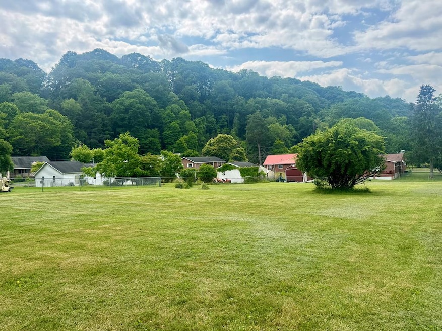 0 3rd St, Beaver, WV 25813 - photo 1