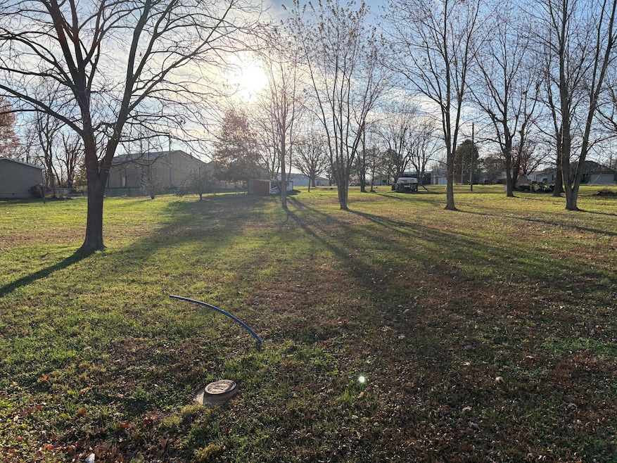 Tbd Olive St, Diggins, MO 65746 - photo 1