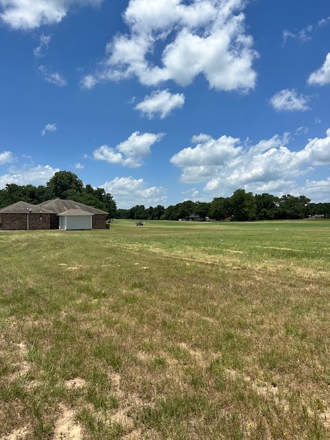 View of green lawn with an attached garage and a v
