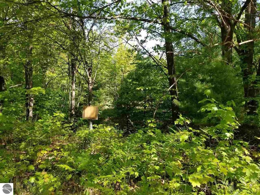 Lot 78 Fence Row Cir, Leroy, MI 49655 - photo 1