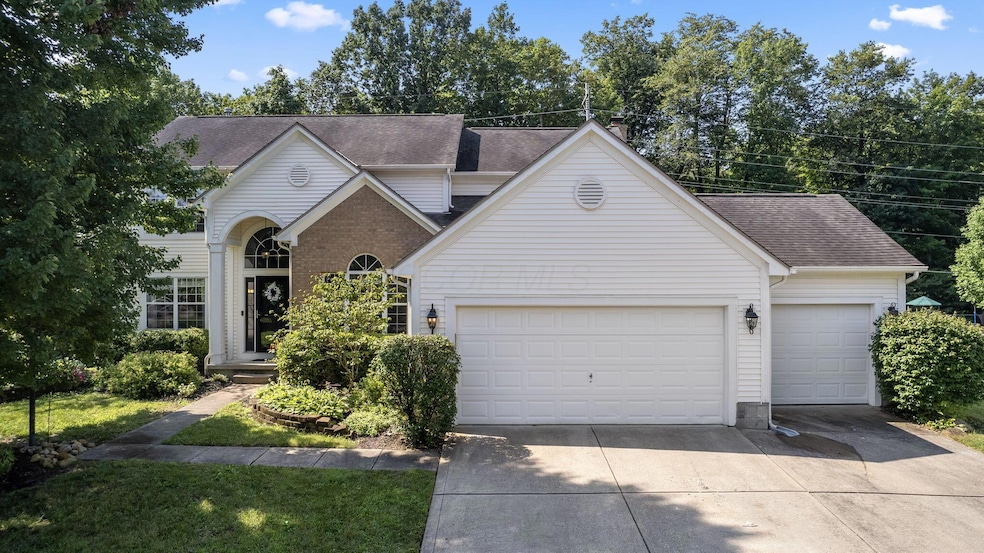 1-web-or-mls-DJI_0546