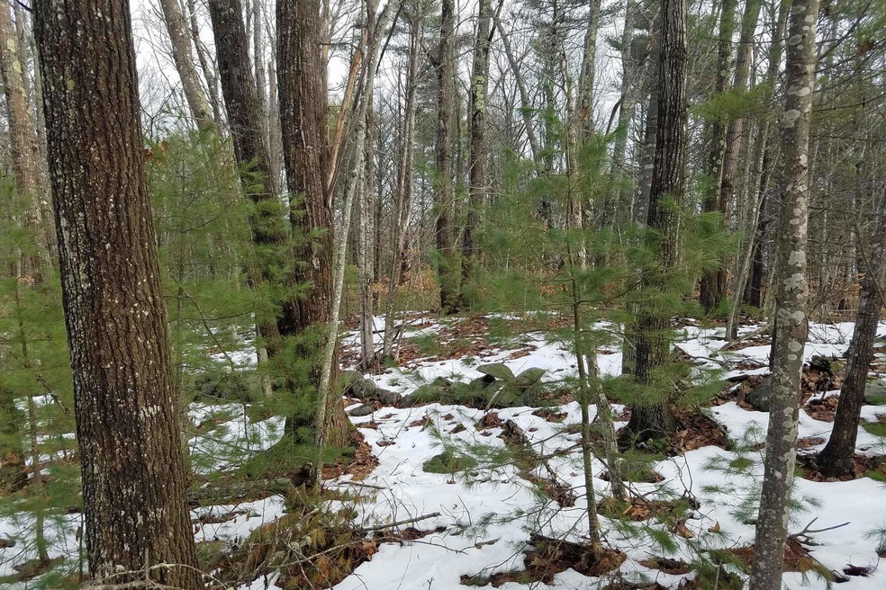 17.49 Acre Parcel