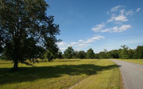 LOT44 Upstage Glen, Lake City, FL 32024 - photo 1