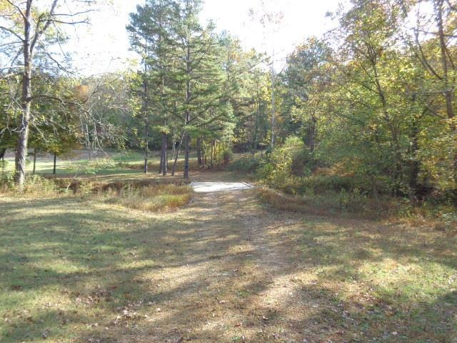 1709 Waverly Rd, Tennessee Ridge, TN 37178 - photo 1