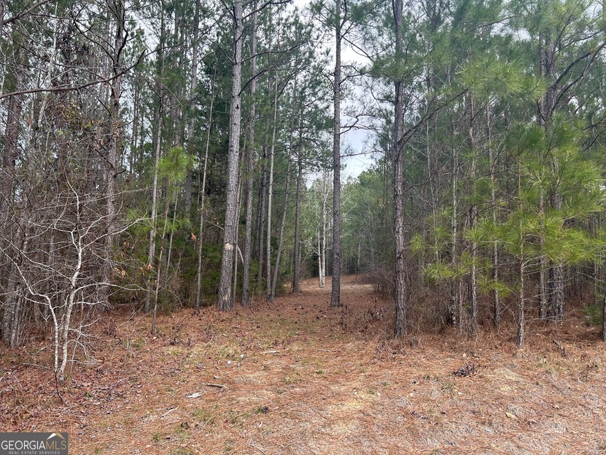 0 Russel Ridge Ct unit 10482372, Elberton, GA 30635 - photo 1