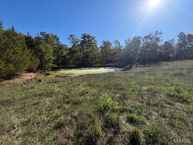 View of local wilderness with rural landscape