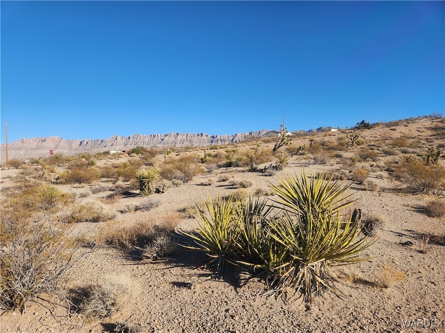 View of the Grand Wash Cliffs from Parcel 343-25-1