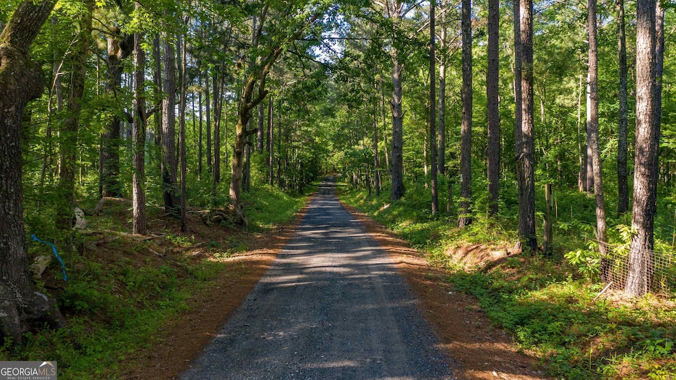 0 Padgett Rd unit LOT 8 10432798, Senoia, GA 30276 - photo 1