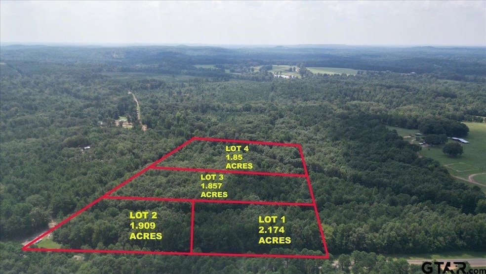 TBD Cactus Rd, Pittsburg, TX 75686 - photo 1