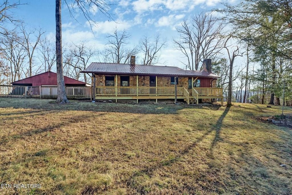Main View