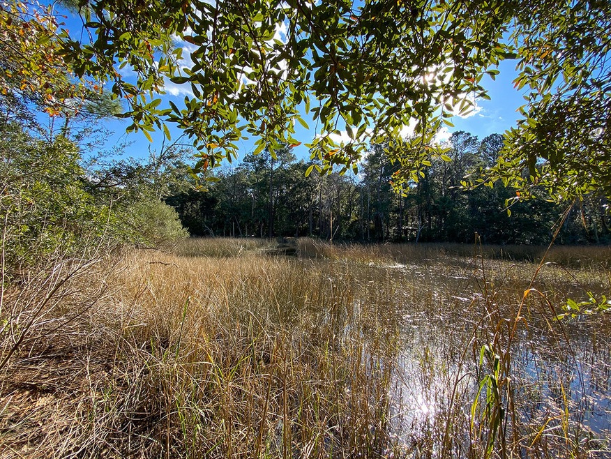 4625LazyCreek-Wadmalaw-1764