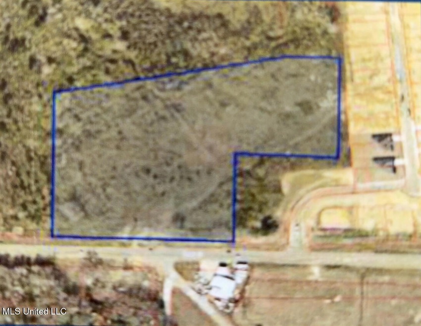 Satellite Image