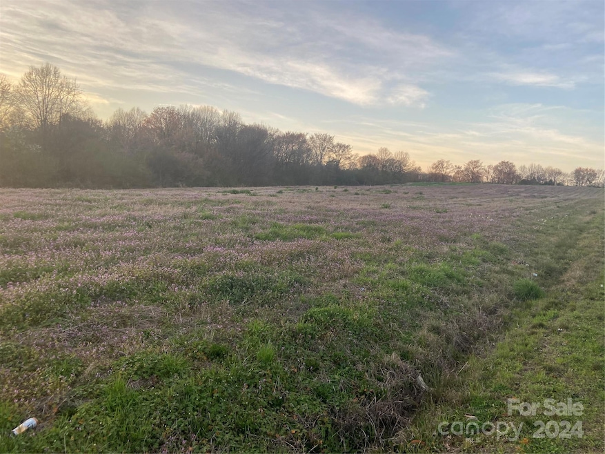 0000 N Carolina 205 unit 12, Marshville, NC 28103 - photo 1