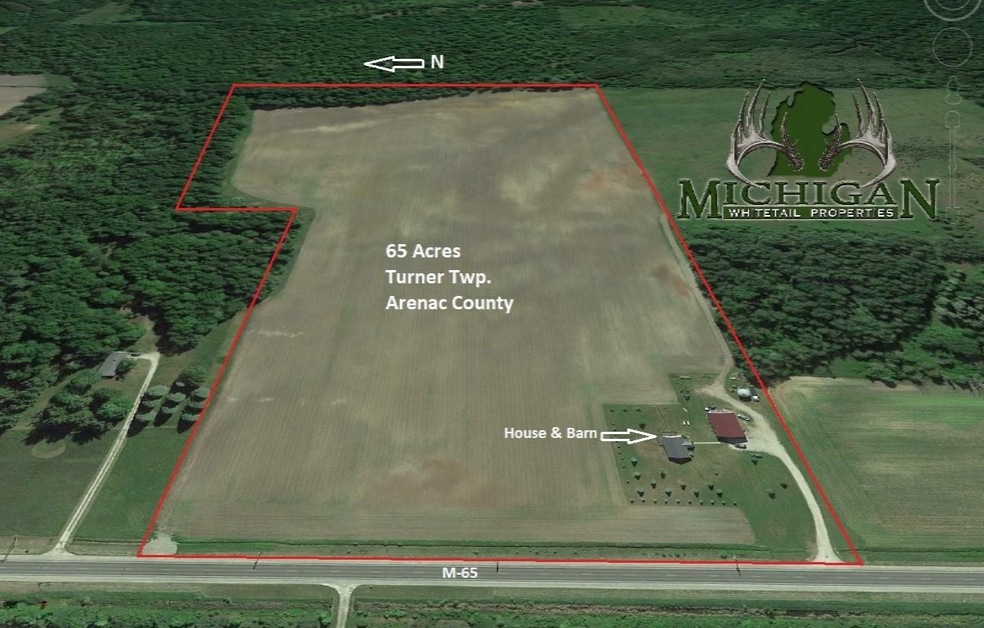 130 N Hale Rd, Twining, MI 48766 - photo 1