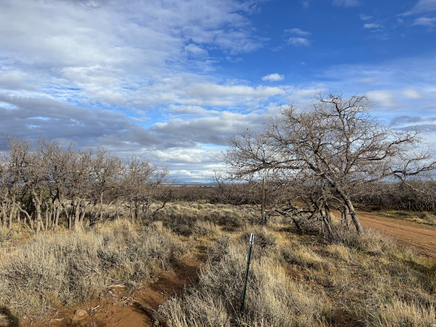 167 Gordon Reservoir, Monticello, UT 84535 - photo 1