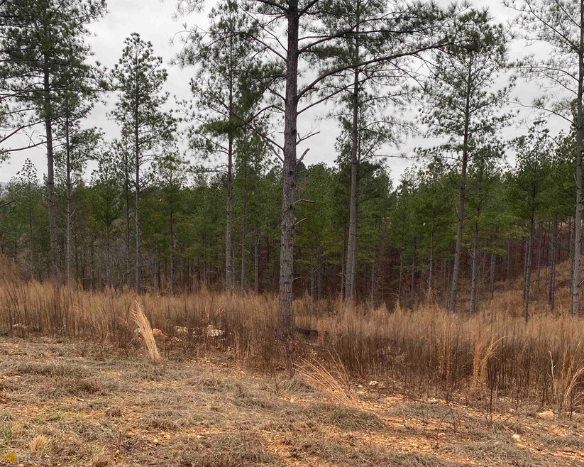 0 Barrel Knot Ct unit 20097068, Talking Rock, GA 30175 - photo 1