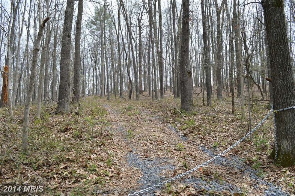 0 Funk Rd unit 1002952670, Strasburg, VA 22657 - photo 1