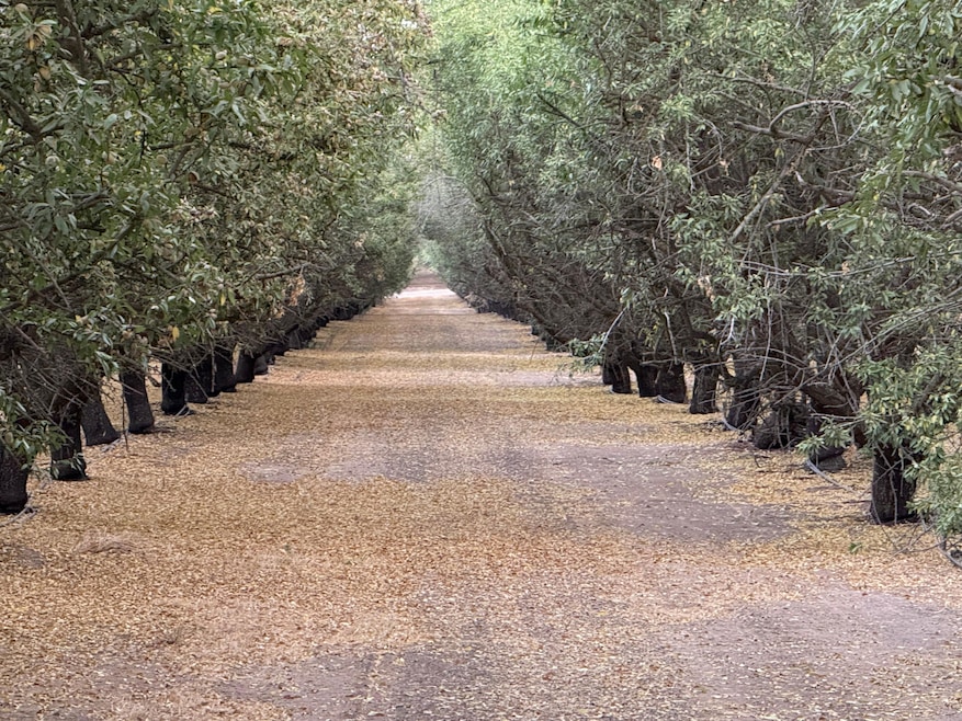 E Keyes Rd, Denair, CA 95316 - photo 1