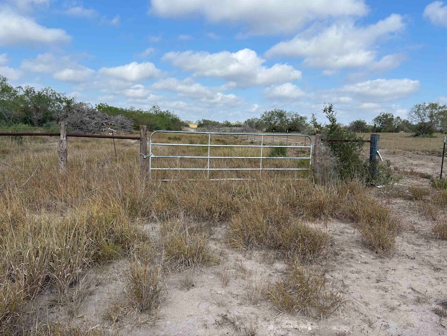 0 Farm To Market Road 889, George West, TX 78022 - photo 1