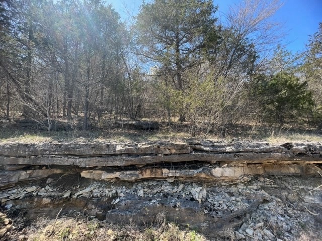 194 Table Rock Dr, Holiday Island, AR 72631 - photo 1