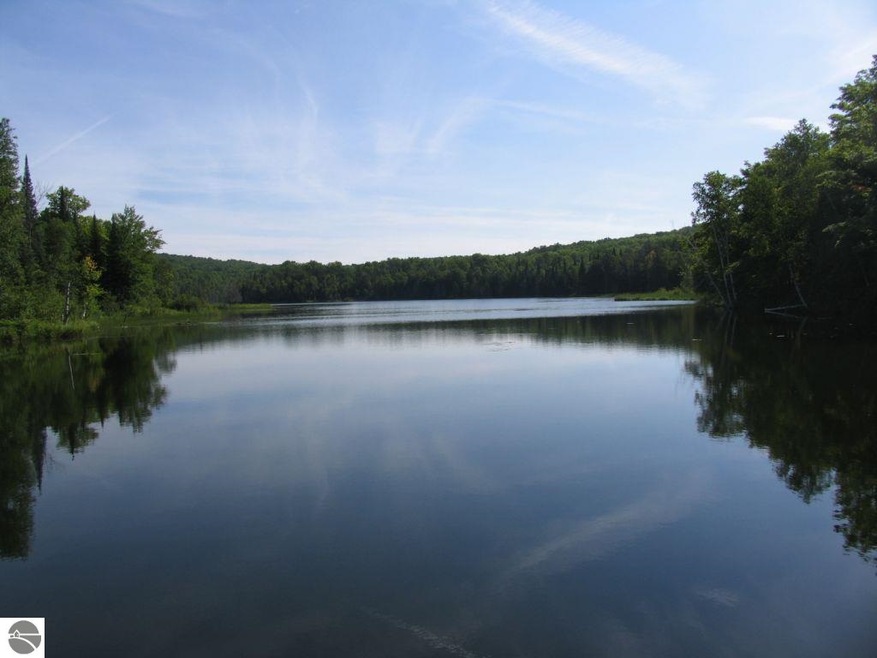 2630 Huffman Lake Rd, Vanderbilt, MI 49795 - photo 1