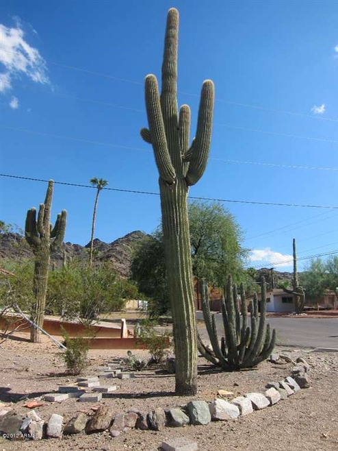 9801 N 16th Place, Phoenix, AZ 85020 - photo 1