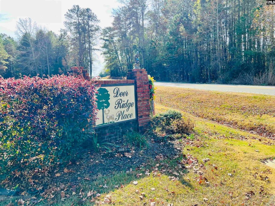 127 Deer Ridge Trail, Gilbert, SC 29054 - photo 1