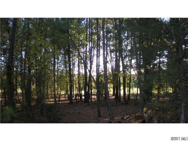Land/Lot