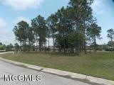 Lot 25_ Forrest_ Preserve