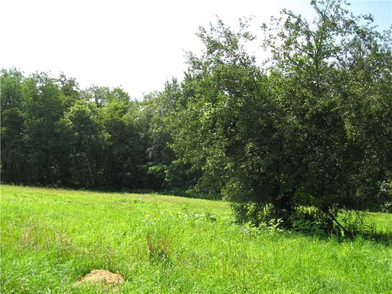 Land/Lot.