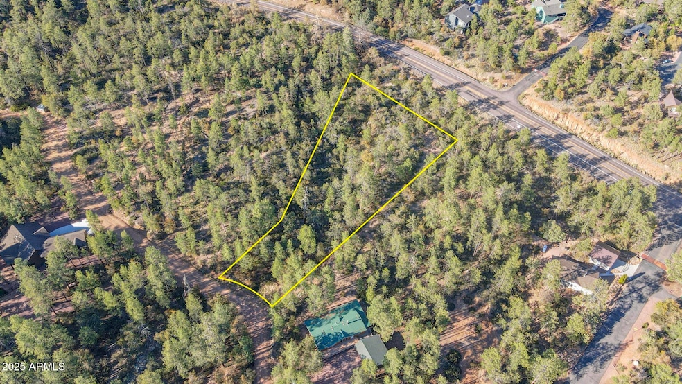 Lot 4 Pine Hollow Trail unit 4, Pine, AZ 85544 - photo 1