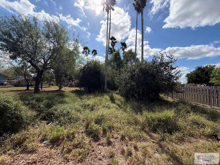 00 Botts Ave, Harlingen, TX 78552 - photo 1