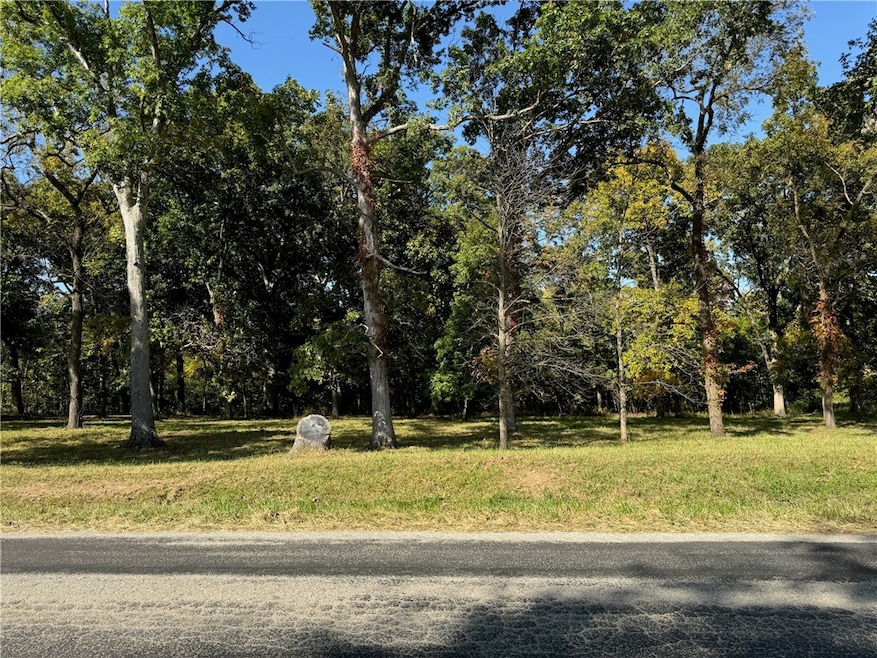 9264 Caleb Rd, Argenta, IL 62501 - photo 1