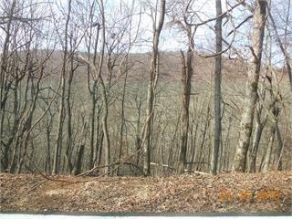 View of nature
