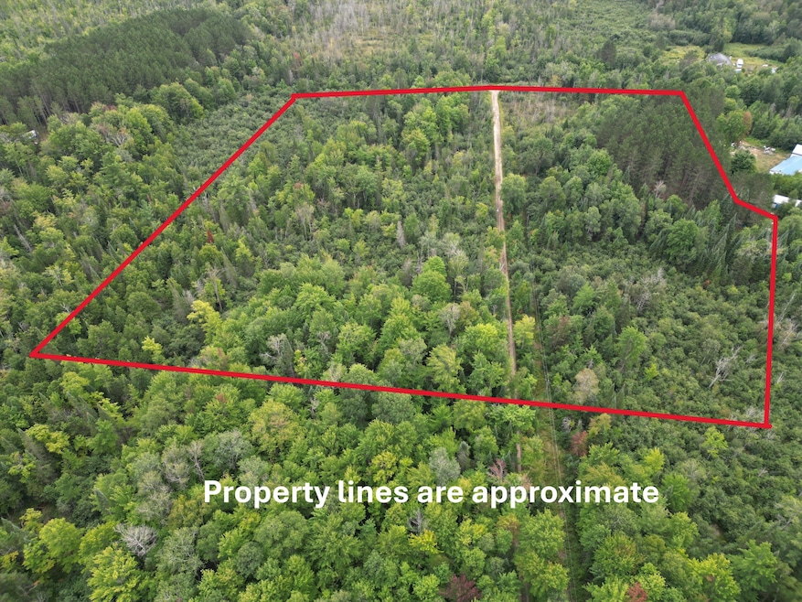 10.11 Acre Golden Rd SE unit 10.11 Acre, Kalkaska, MI 49646 - photo 1