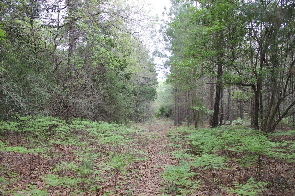 N/A Walton Rd, Nacogdoches, TX 75964 - photo 1