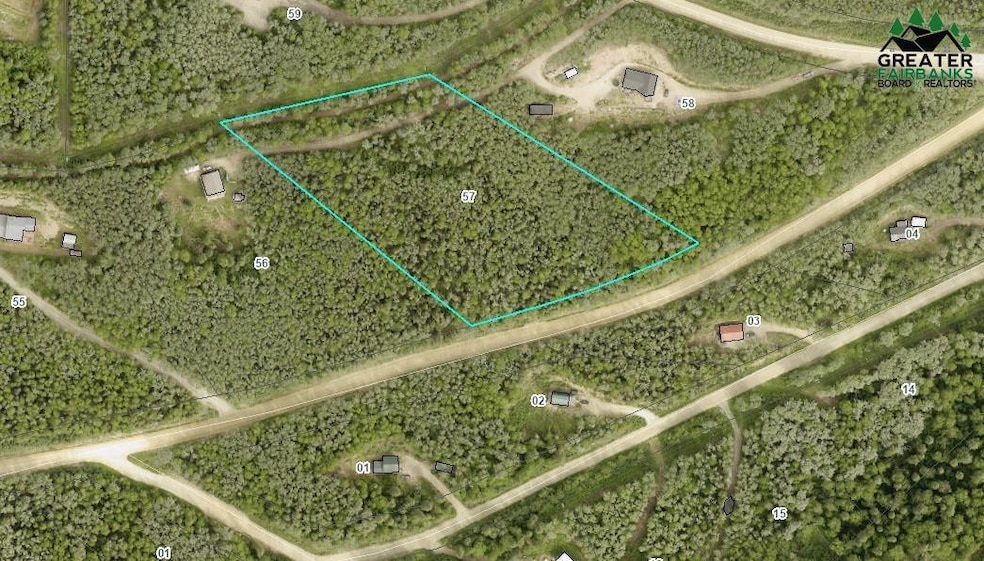 Lot 57 Moose Mountain Rd, Goldstream, AK 99709 - photo 1