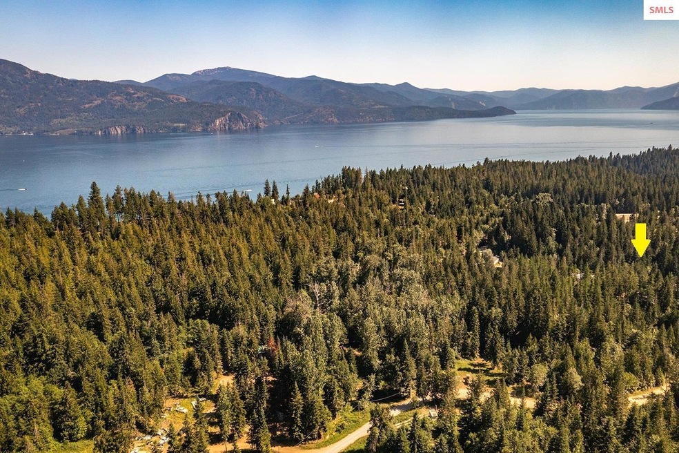 Neighborhood Lake views!