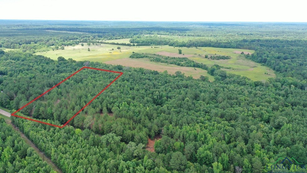 Aerial view of property and surrounding area with a forest and property boundaries highlighted
