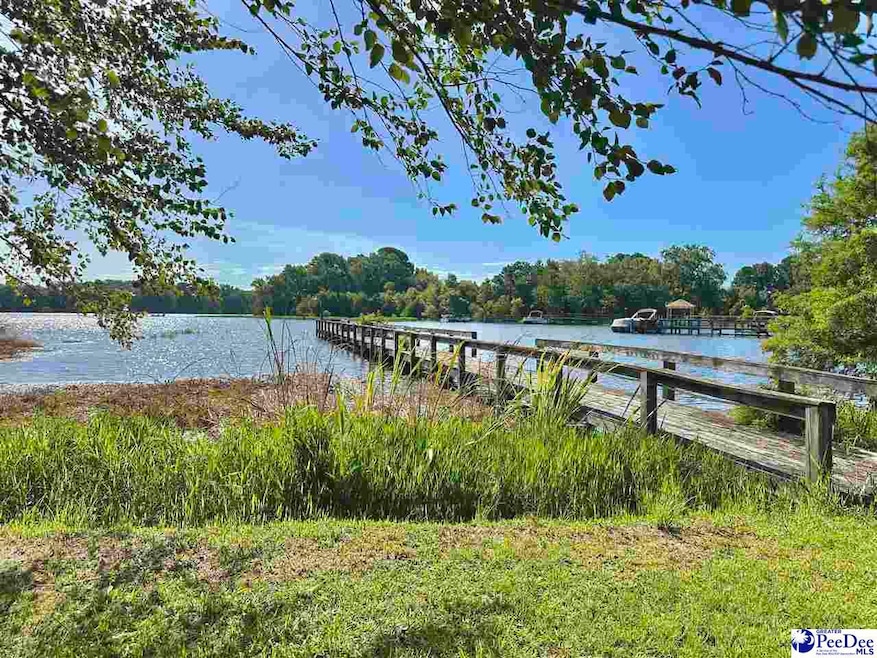 1636 Ralph Bell Rd, Summerton, SC 29148 - photo 1