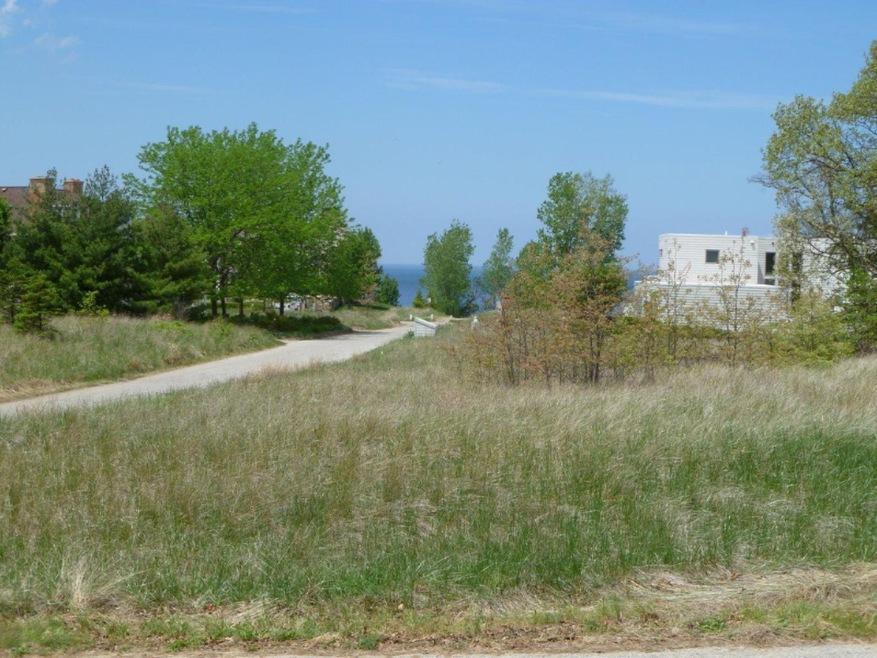 0 Main Dr unit Lot 13, Grand Beach, MI 49117 - photo 1