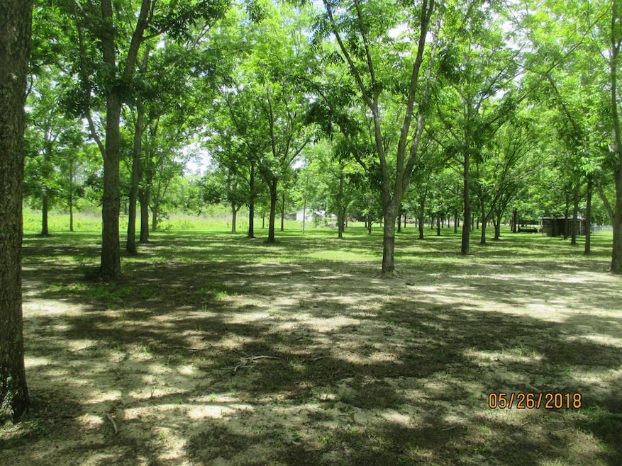 186 Jefferson Rd, Adel, GA 31620 - photo 1