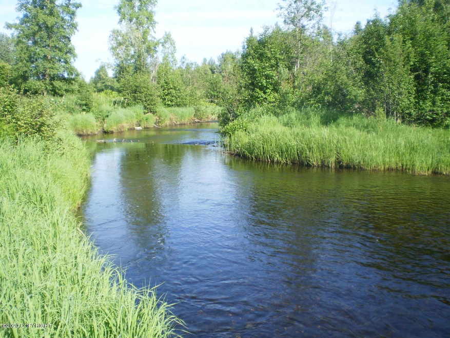 11132 Little Rd, Trapper Creek, AK 99683 - photo 1