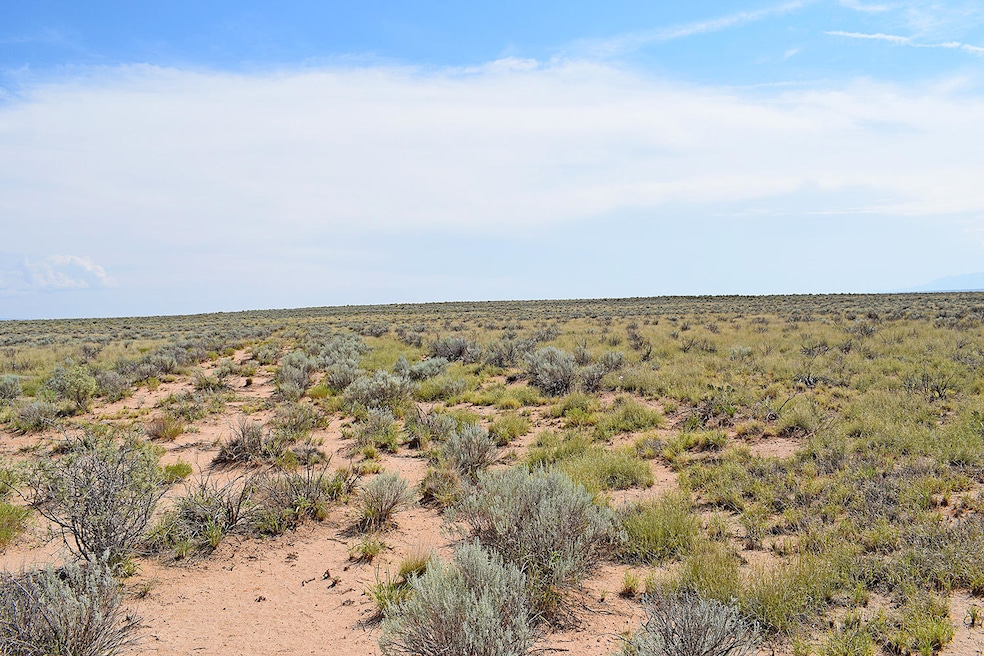 Lot 10 Rio Del Oro Loop unit 53, Los Lunas, NM 87031 - photo 1