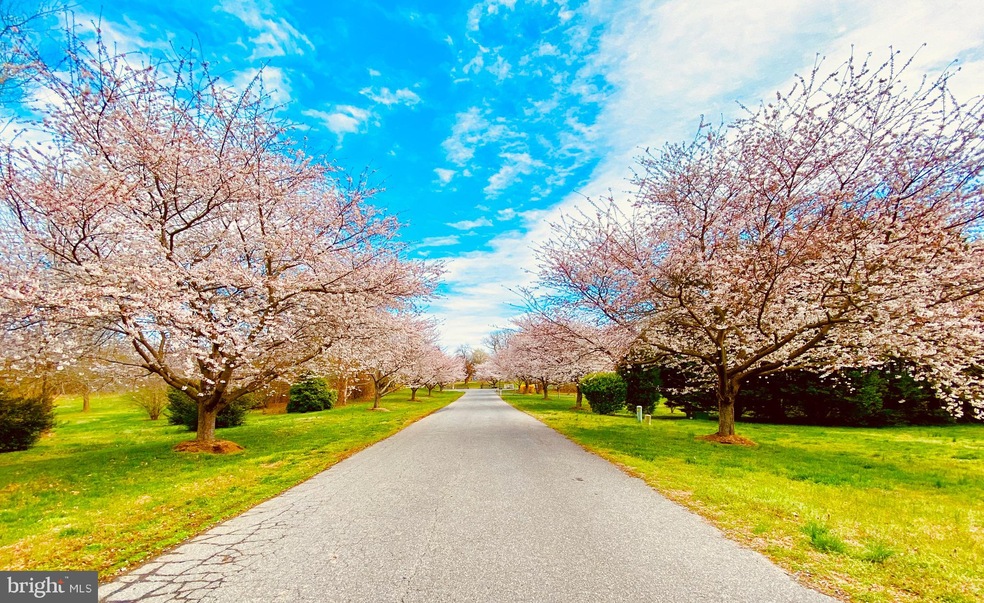 13 Bethel Ln, Harwood, MD 20776 - photo 1