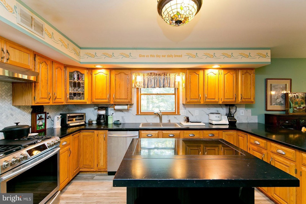 1862 Morgan Frederick Grade, Cross Junction, VA 22625 - photo 1