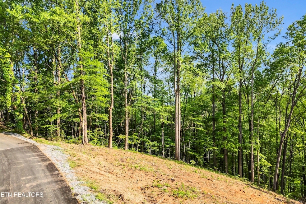 Lot 27 Sugar Maple Loop Rd, Sevierville, TN 37862 - photo 1